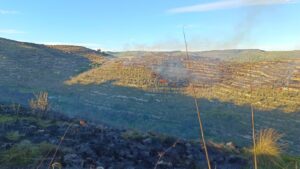 Domato l'incendio di Giarratana