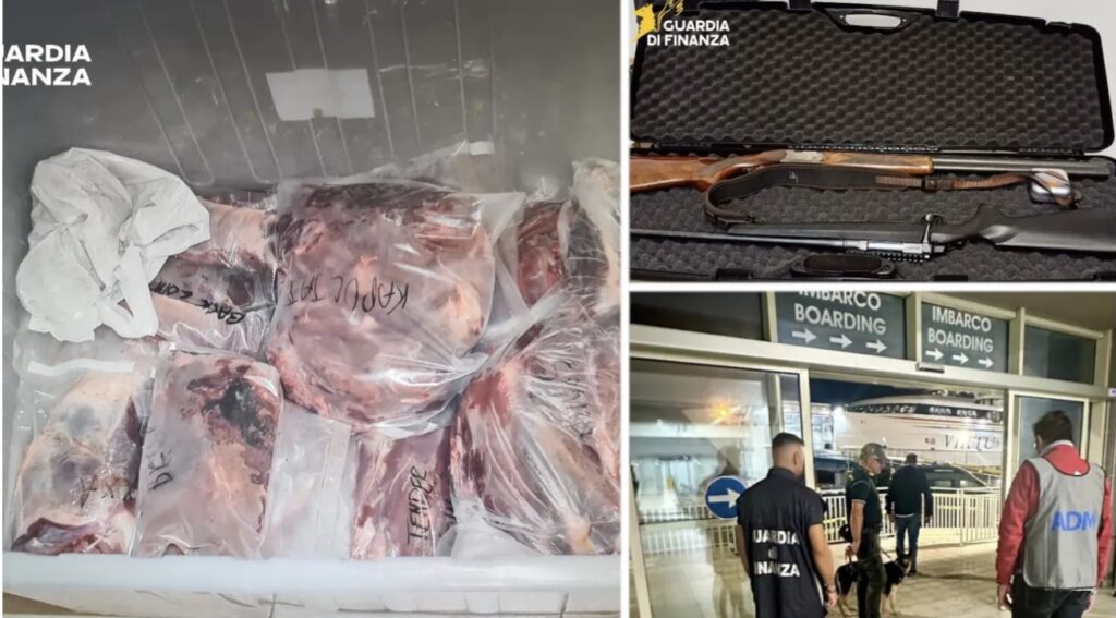 Bracconieri maltesi fermati a Pozzallo con 10 fucili e 500 chili di carne di cinghiale