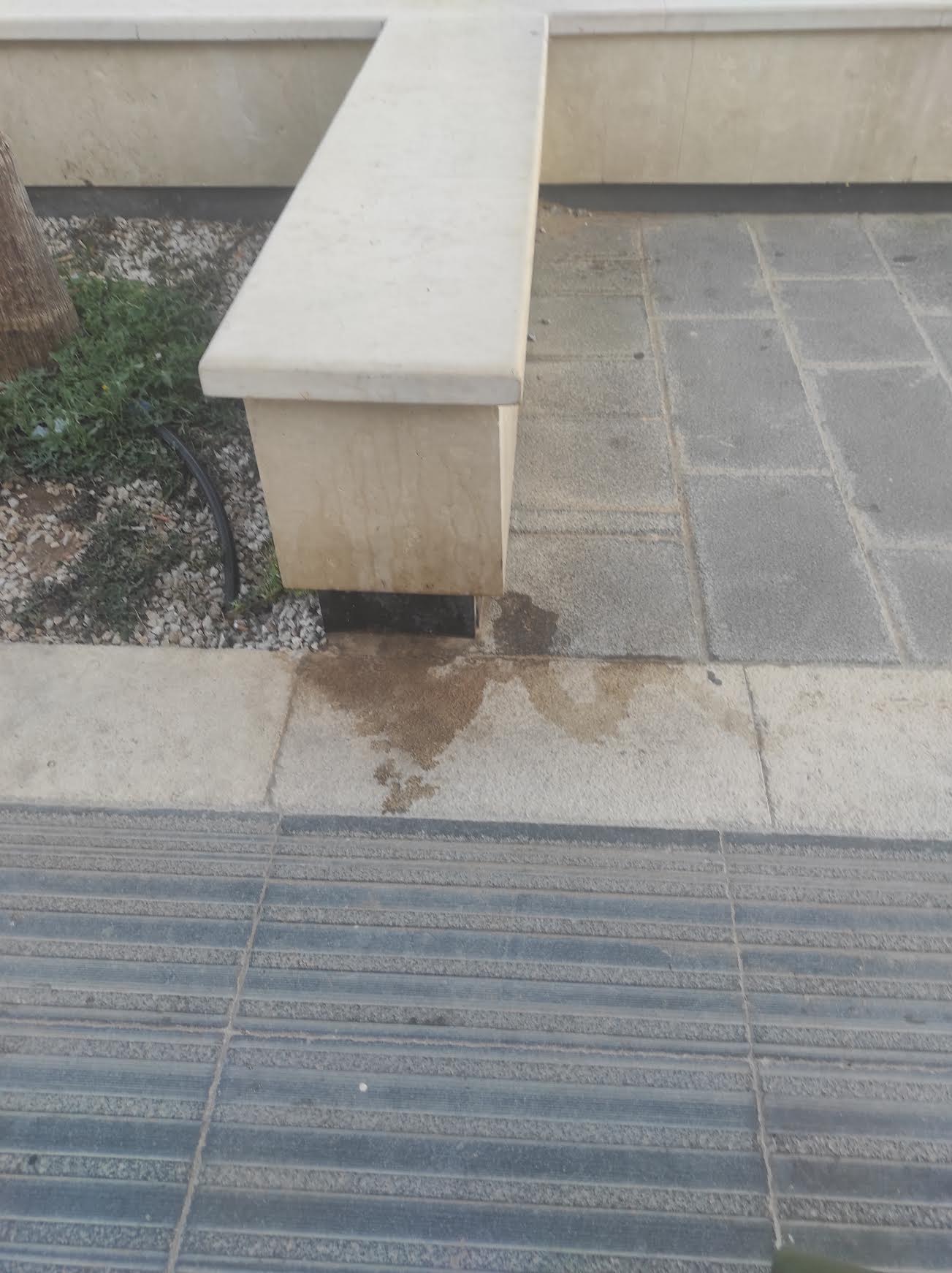 Non solo le case degli altri. L’abitudine a Marina di Ragusa di usare le panchine come orinatoi per cani