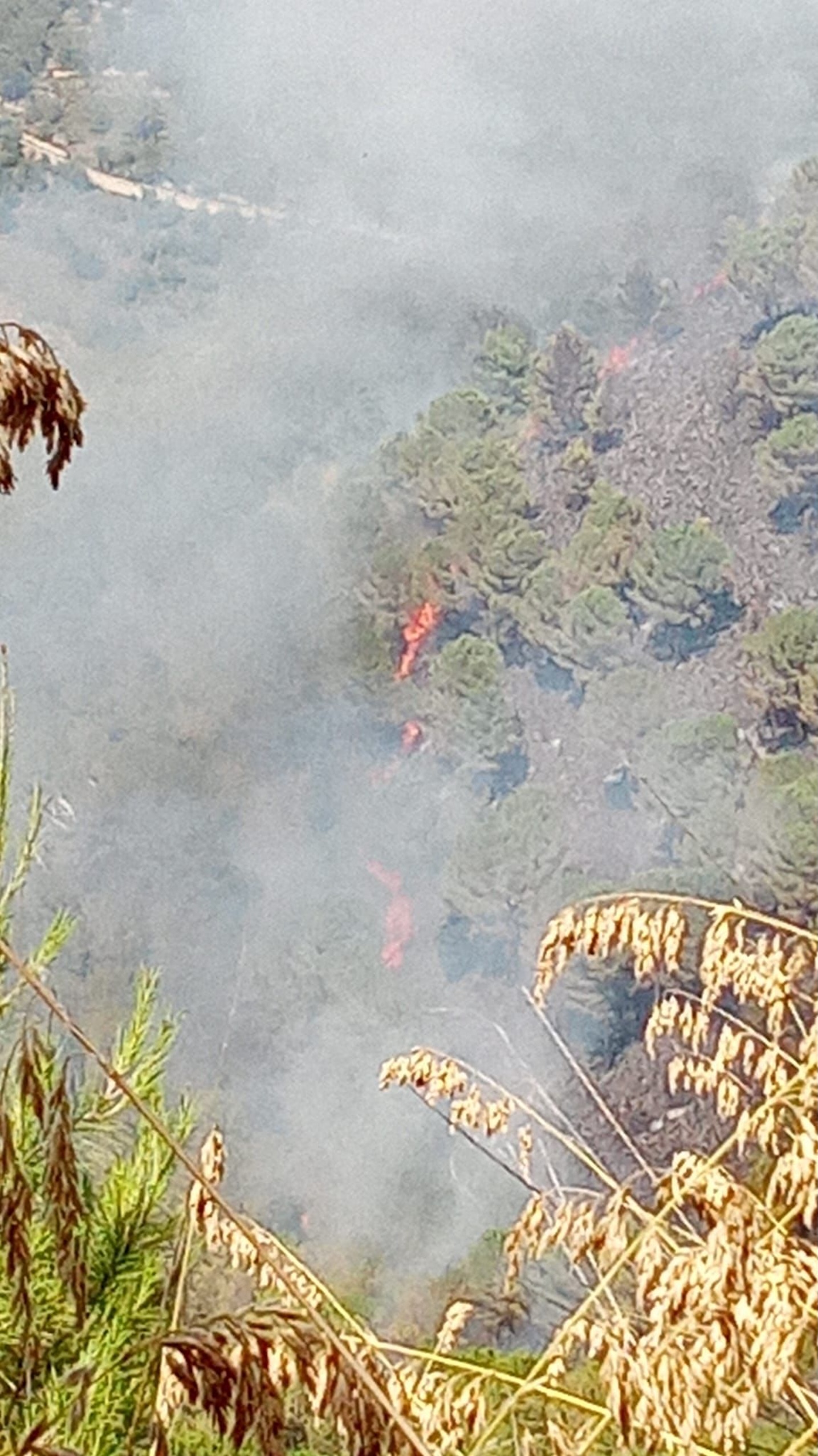 Monterosso Almo, vasto incendio al monte Casasia
