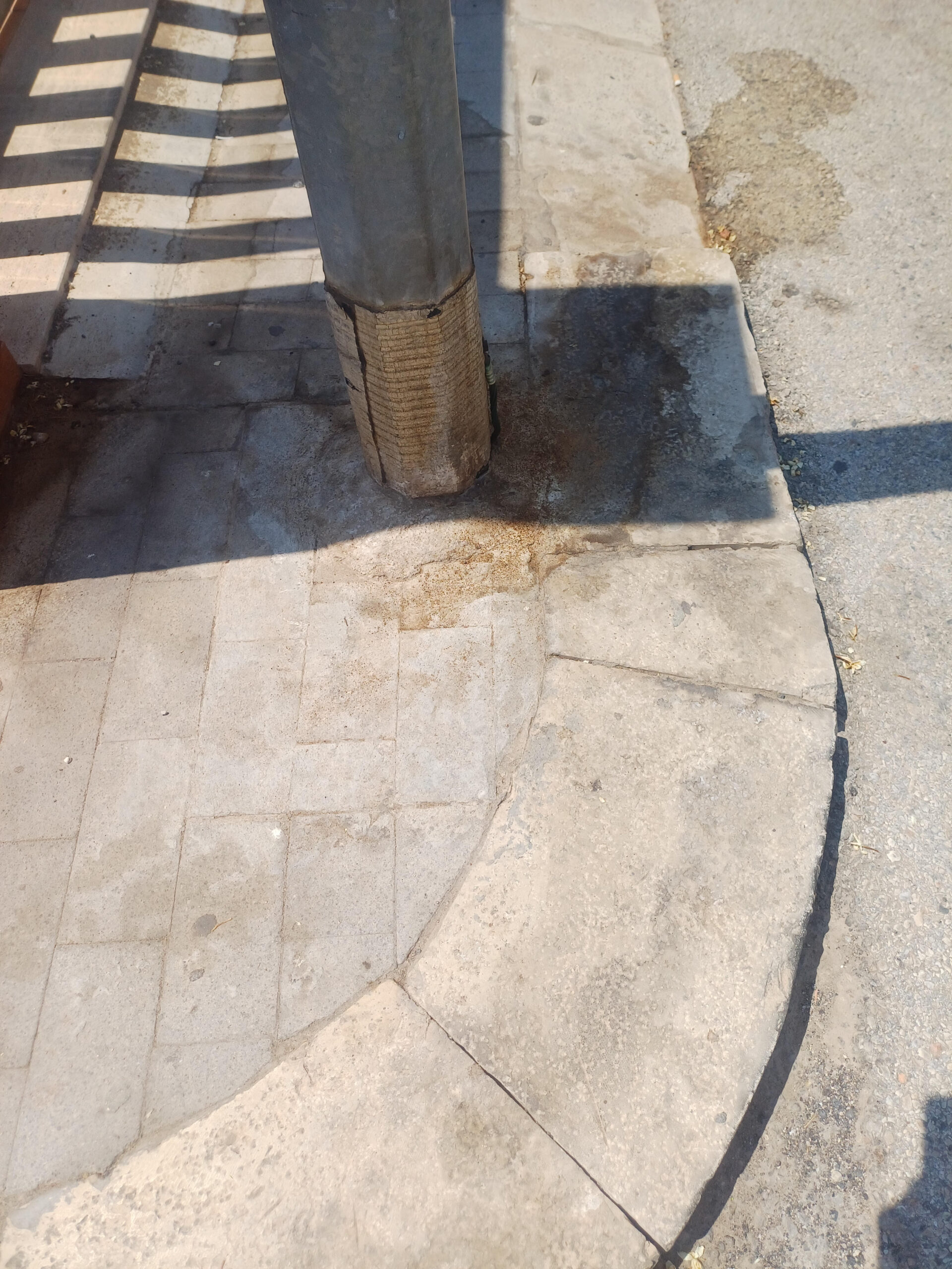 A Marina di Ragusa il malvezzo di portare i cani a fare i bisogni nelle case altrui