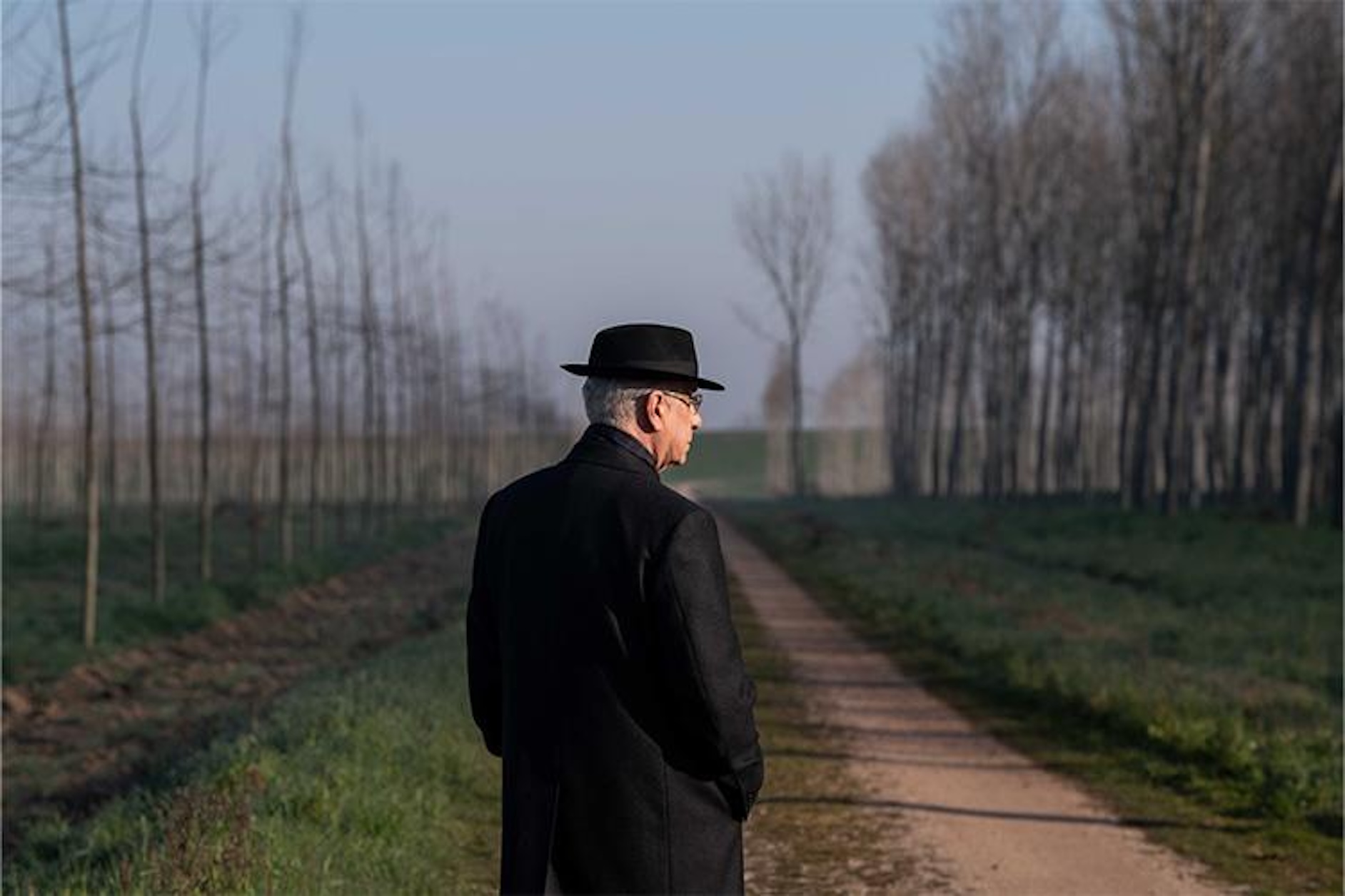La Grazia, il nuovo film di Sorrentino apre la Mostra di Venezia. Sarà dedicata a un immaginario Presidente della Repubblica