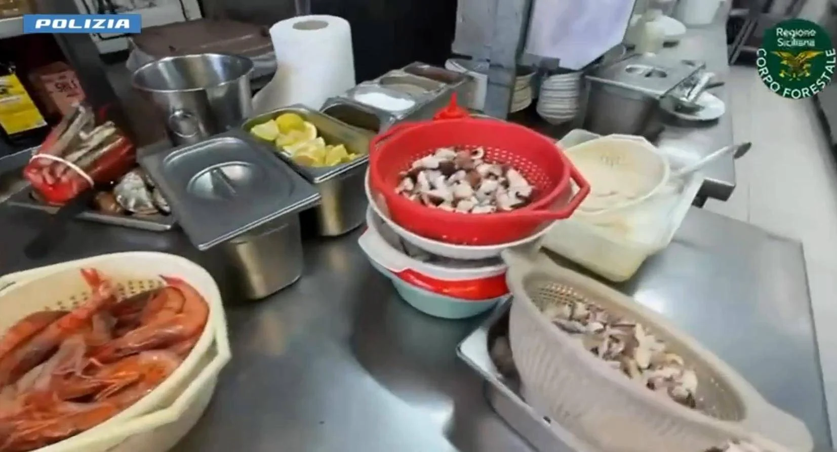 Sequestrati 300 kg di pesce in 2 locali a Capo Mulini. VIDEO