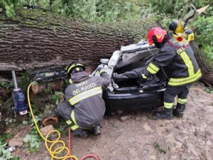 Immagine rappresentativa di Albero cade su un’auto, un morto e tre feriti. FOTO
