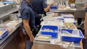 Immagine rappresentativa di San Giovanni li Cuti, multe per 30.000 euro in un lido e in un ristorante. VIDEO