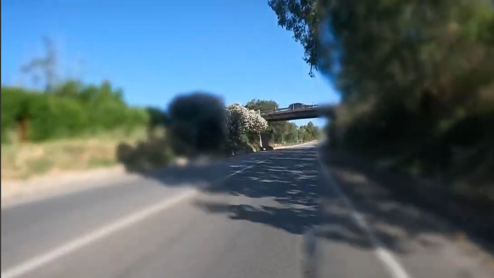 Roberto Coniglio di 42 anni muore in un incidente sulla Palermo-Agrigento