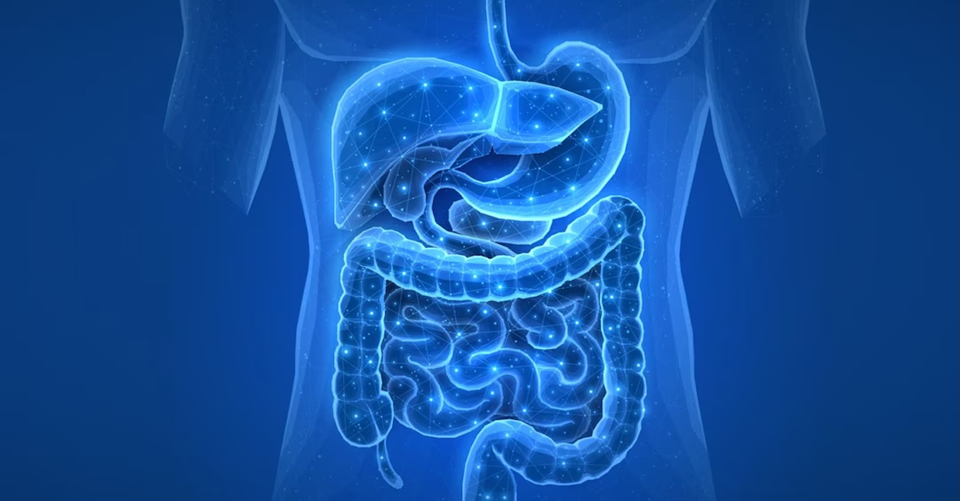 Tumori colon: così una proteina predice chi non risponderà alla chemioterapia
