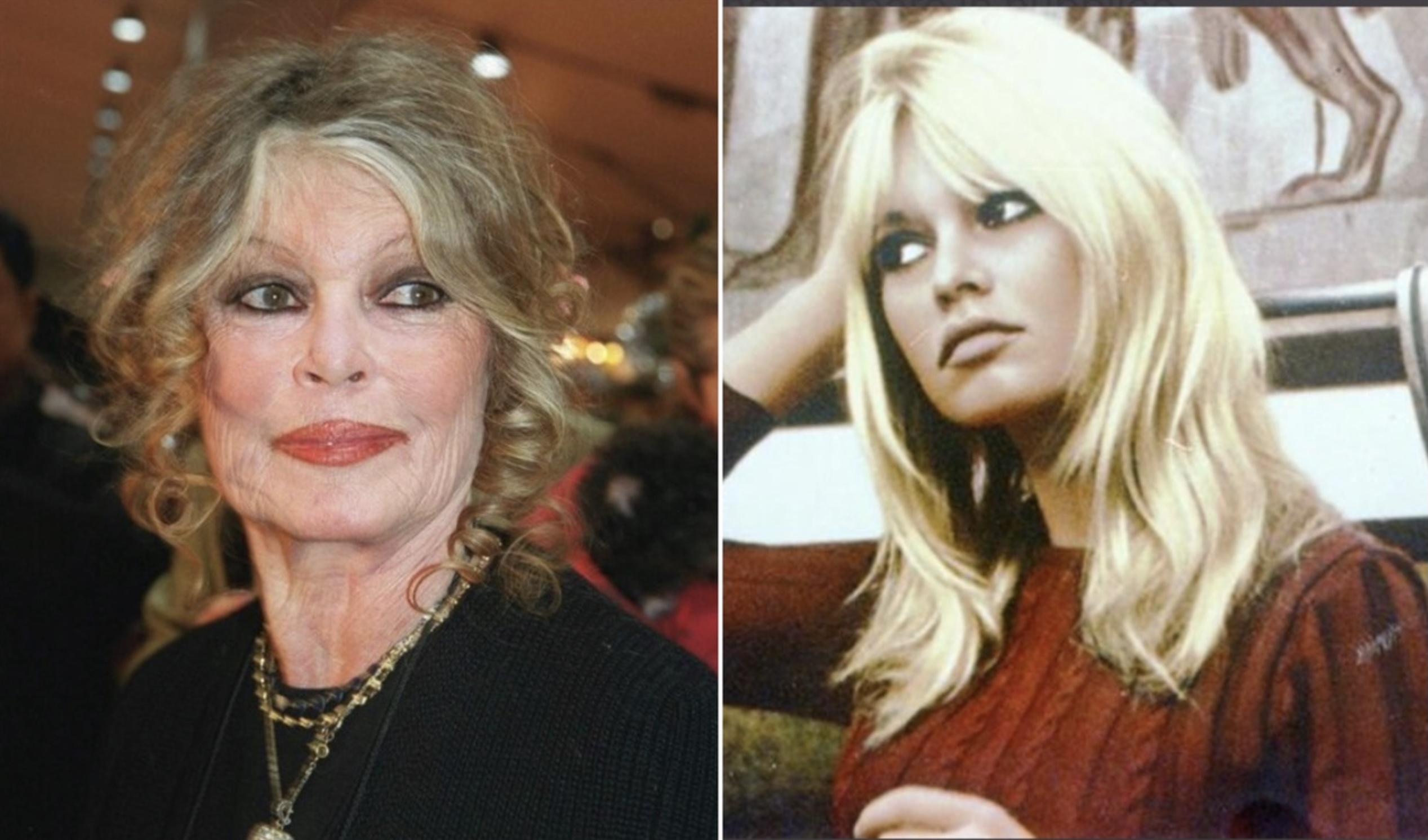 Brigitte Bardot operata, è grave Brigitte Bardot operata, è grave