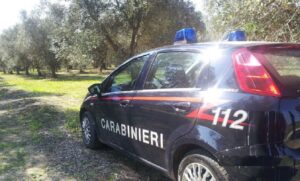 Incidente sul lavoro: bracciante agricolo muore travolto dall’autocarro guidato dal collega Immagine rappresentativa di Incidente sul lavoro: bracciante agricolo muore travolto dall’autocarro guidato dal collega