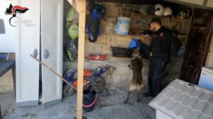 Droga e armi, i NOMI dei 13 arrestati a Ispica