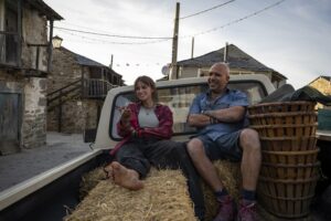 Checco Zalone, altri 8 milioni a Santo Stefano, Buen camino oltre i 13,5 milioni. Sever di teleprenotazione dei biglietti al cinema in default