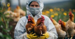 Primo caso umano al mondo di influenza aviaria A(H5N5) negli Usa: paziente deceduto