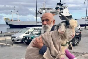 Pescatore trova un capretto con fratture e lo adotta