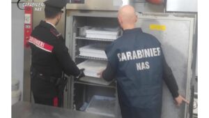 Eccoli i falsi panettoni al cioccolato di Modica e all’inesauribile pistacchio di Bronte