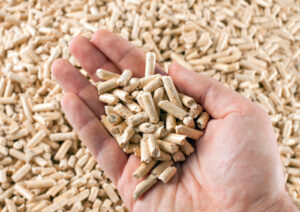 Immagine rappresentativa di Pellet introvabile in provincia di Ragusa