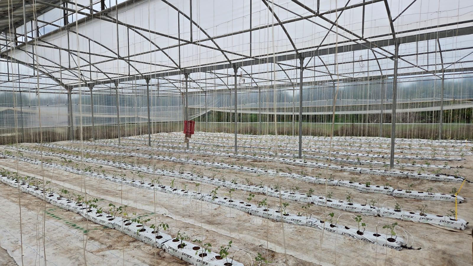 Baps finanzia completamento del primo impianto agrivoltaico su tecnologia Serra Archimede